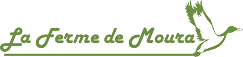 Logo_header